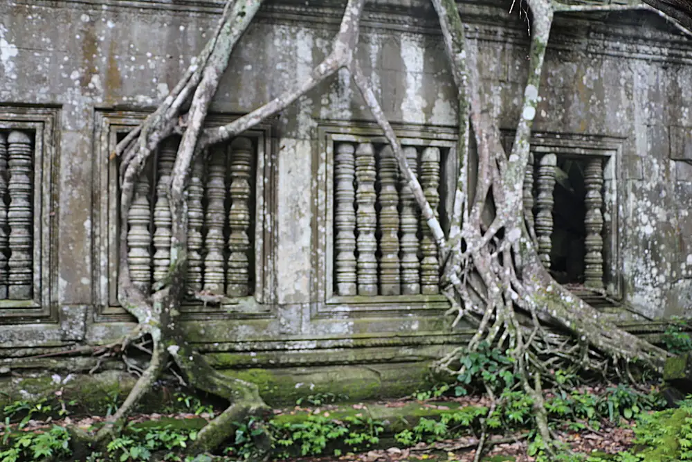 Three Days Ultimate Guide, Siem Reap, Beng Melea, Jungle Temple