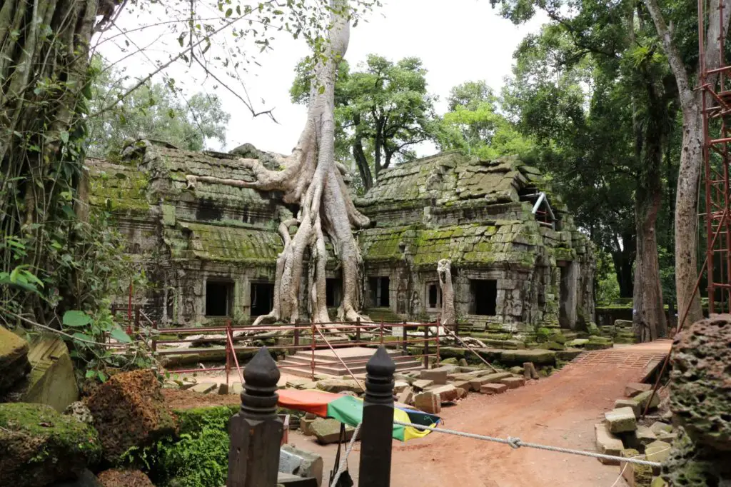 Ta Prohm, 3 Day Siem Reap Itinerary, Ultimate Guide