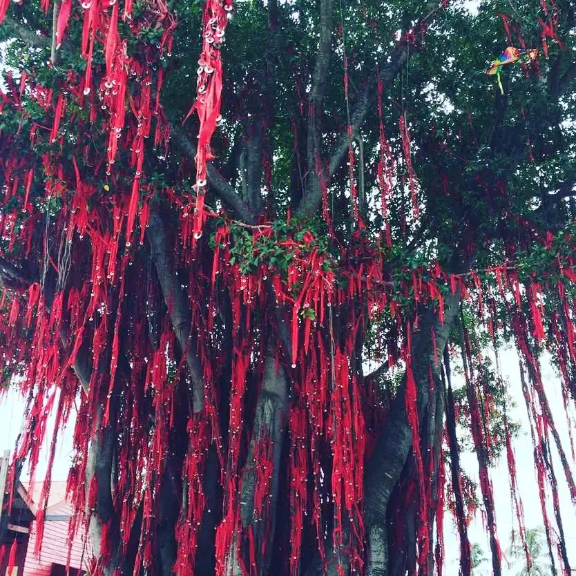 sekinchan wishing tree, chinese temple