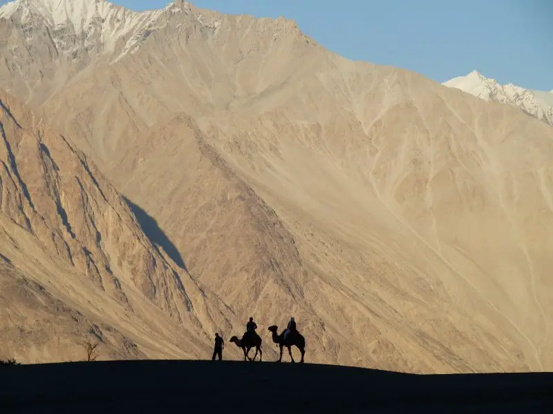 5 star hotels Nubra Valley, camels, mountains, Nubra Valley, remote place in India