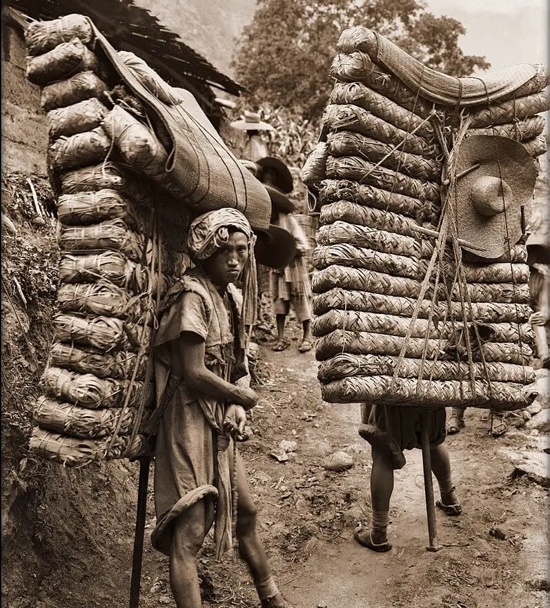 tea porters, Henry Wilson 1908, Restored photo, Silk Route Sikkim