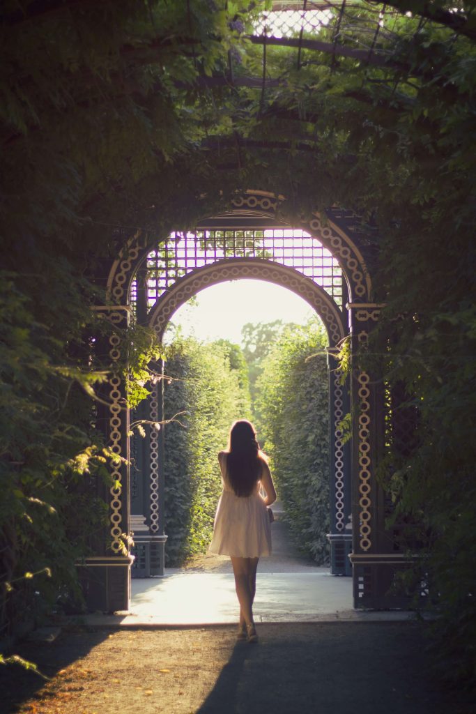 1 day in Vienna, Palm House at Schonbrunn Palace